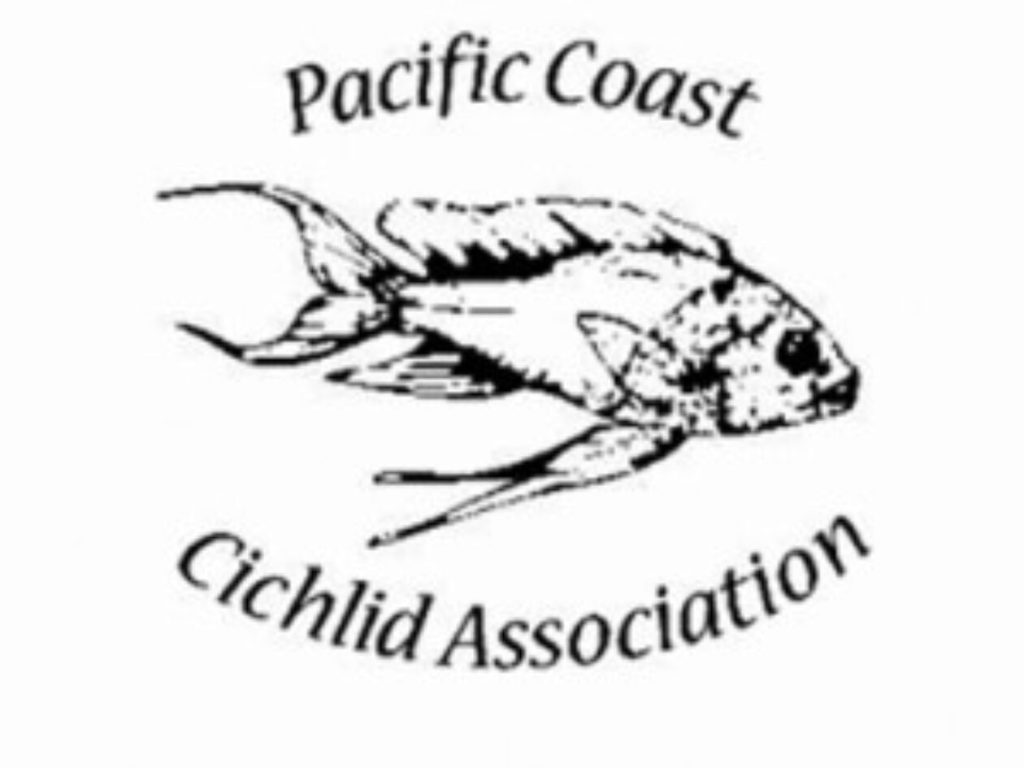 PCCA Logo